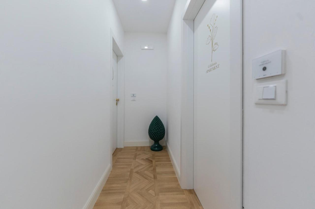 Aldrovandi Luxury Suites And Apartment 볼로냐 외부 사진
